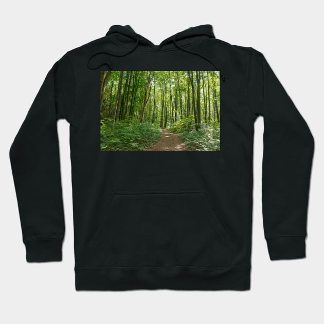 Deciduous forest in the summer Hoodie by naturalis